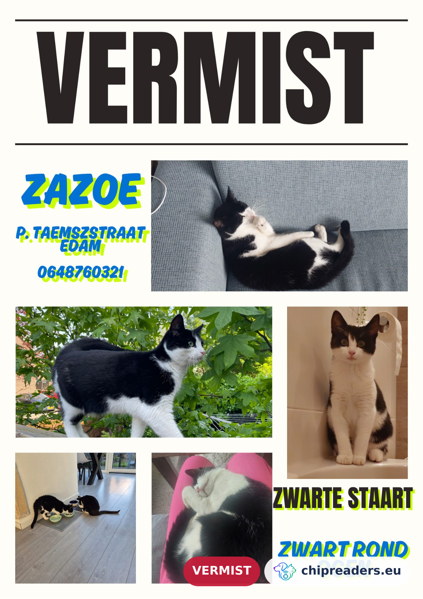 Zazoe