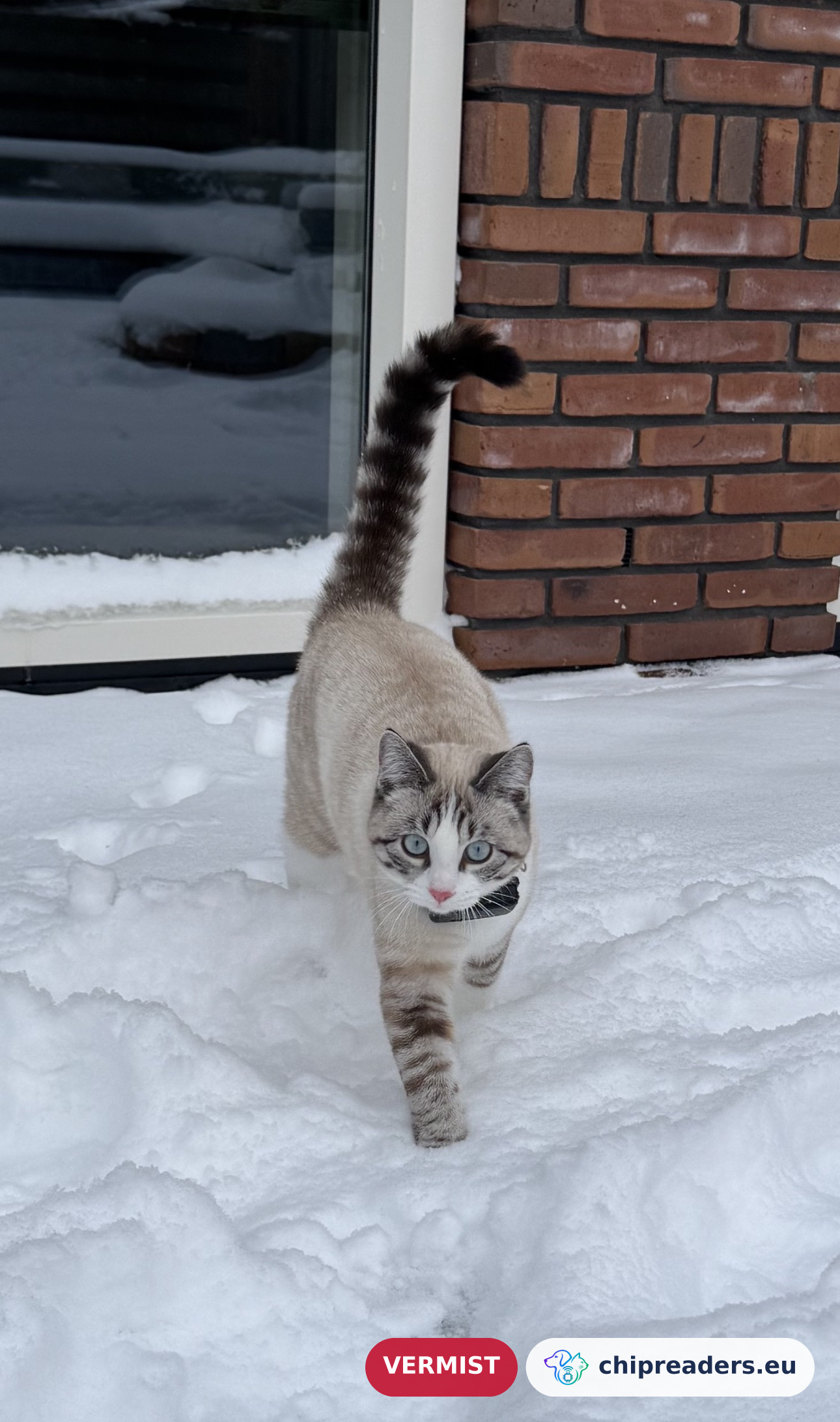 Mila