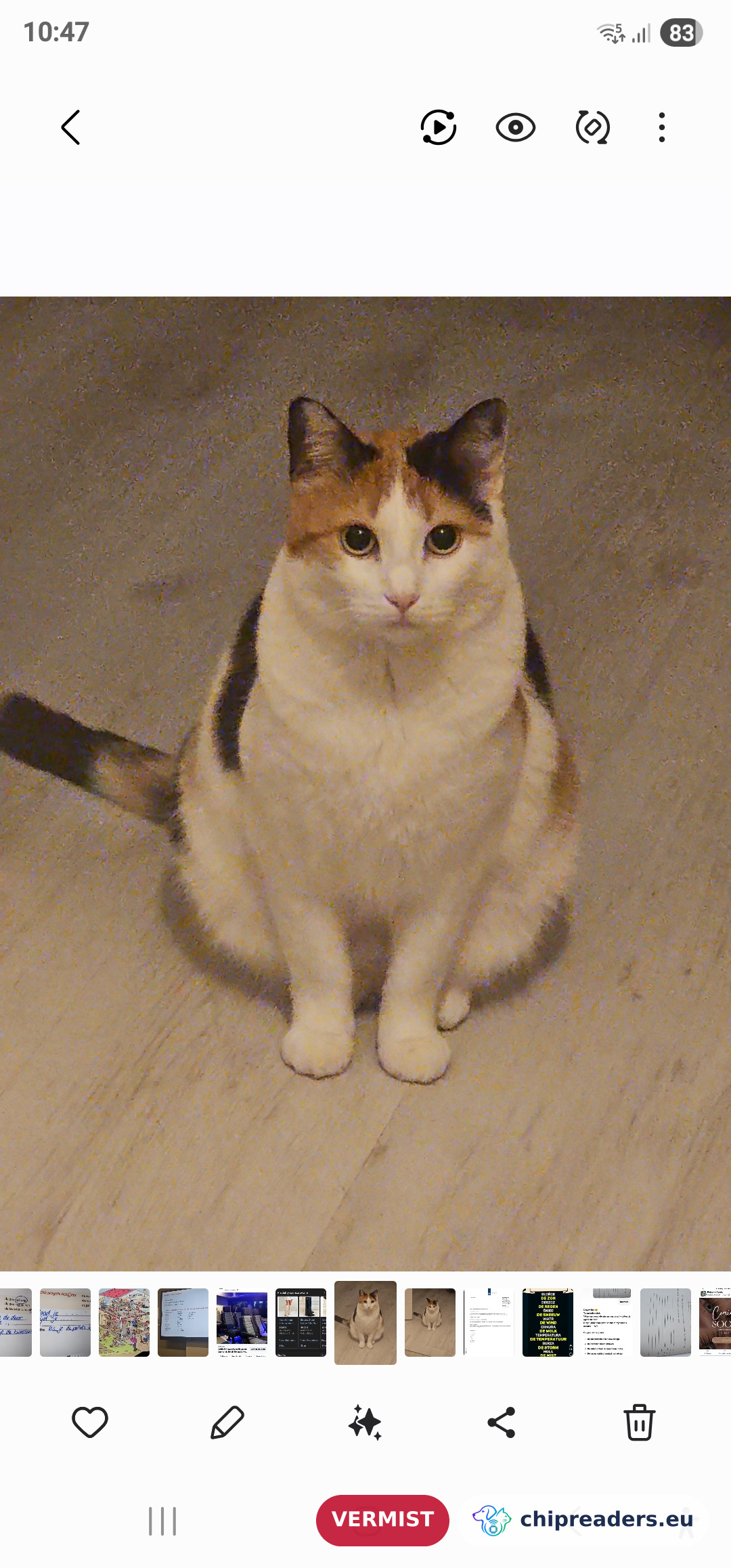 Foto van KITTY