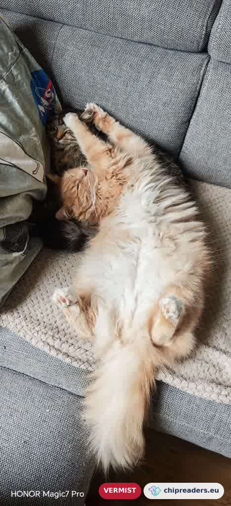 Lenny