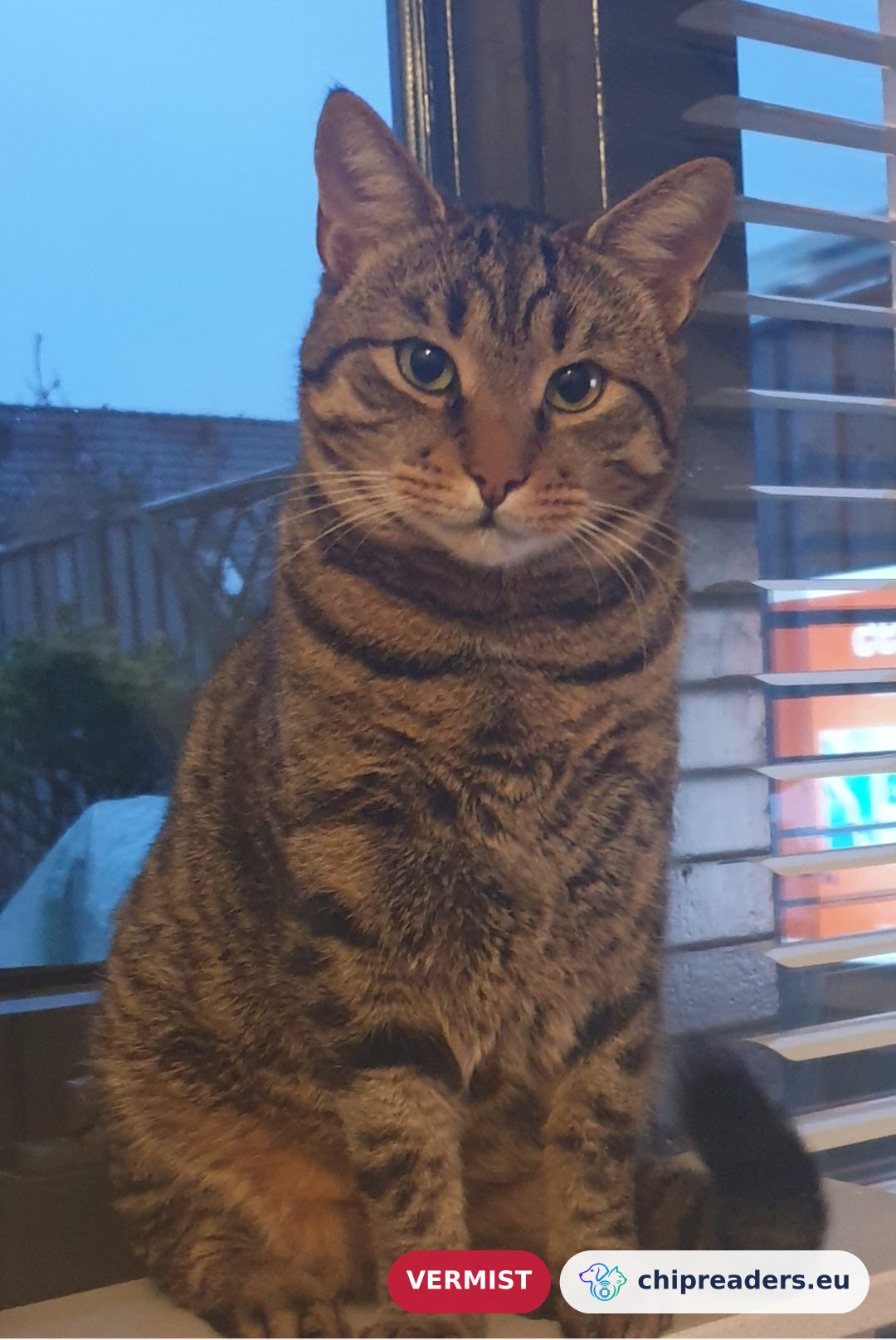 Micci