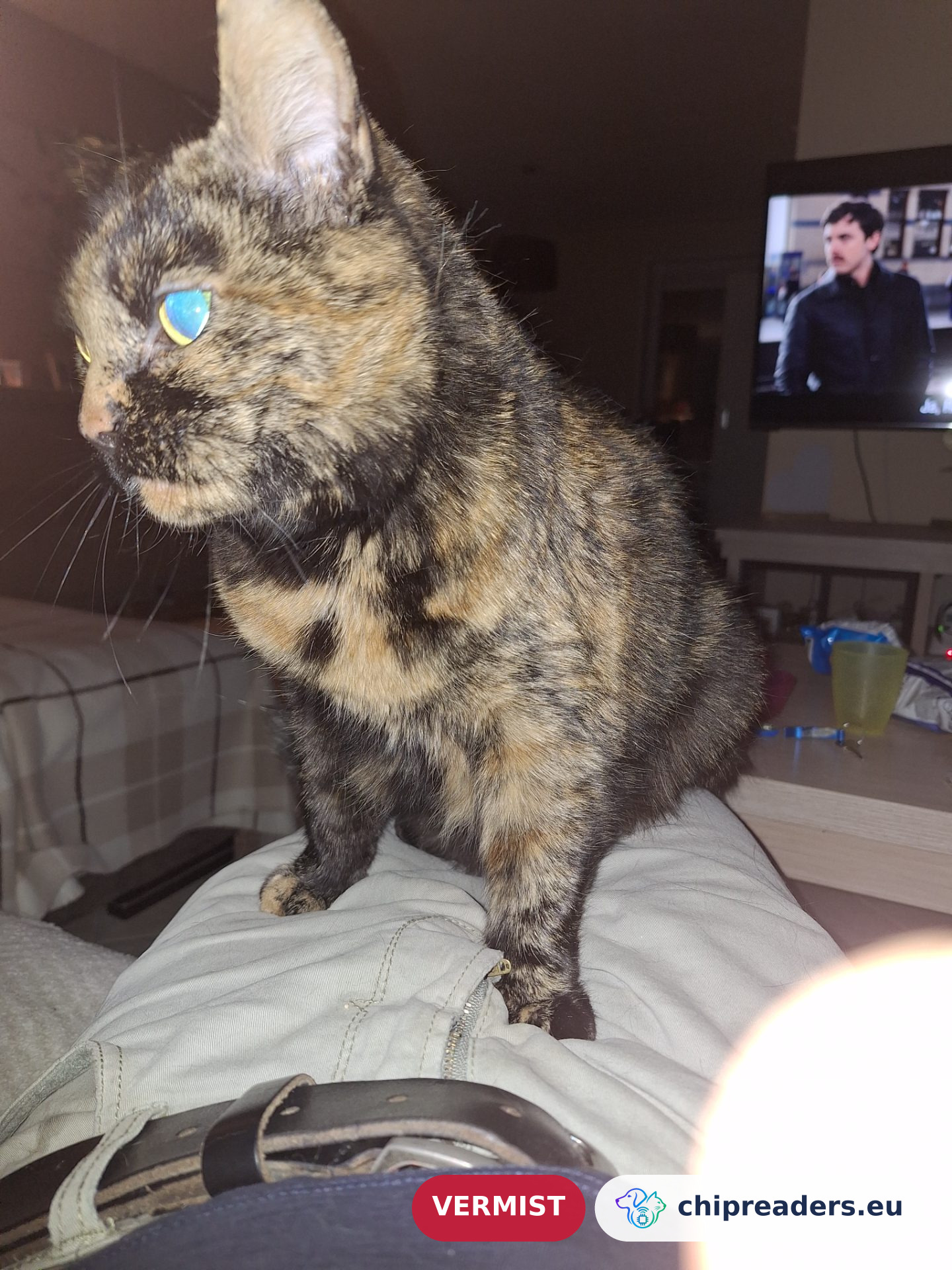 Winnie
