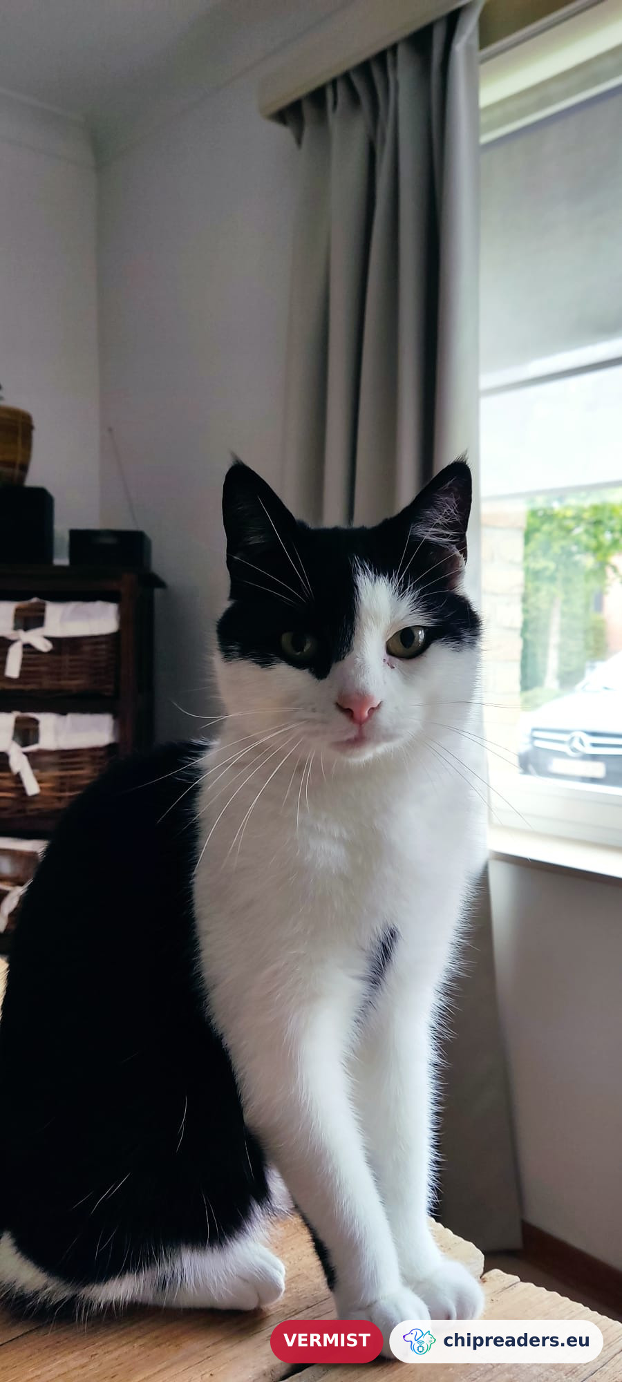 Figaro