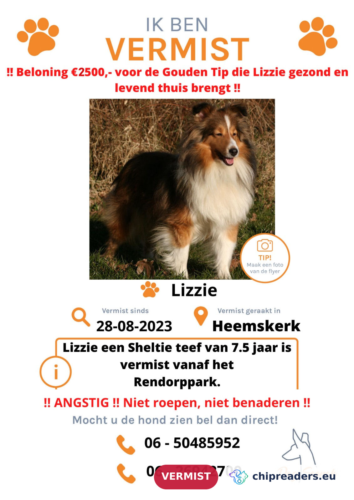 Lizzie