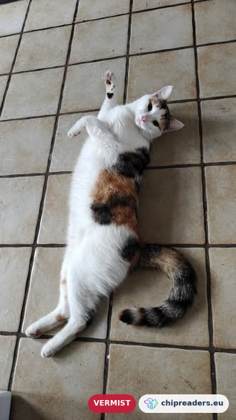 Foto van Bonnie