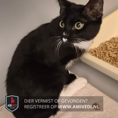 Gesignaleerd dier