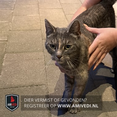 Gesignaleerd dier