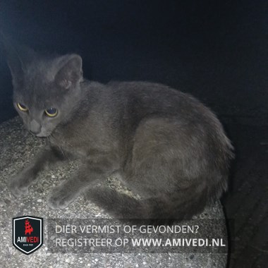 Gesignaleerd dier