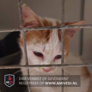 Gesignaleerd dier