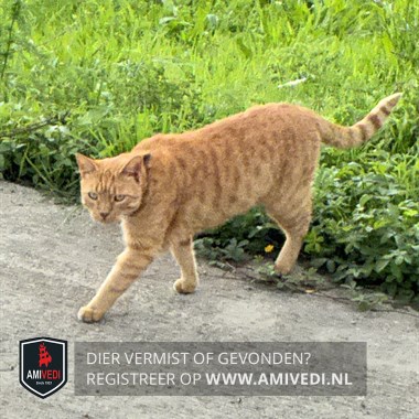 Gesignaleerd dier