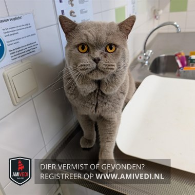 Gesignaleerd dier
