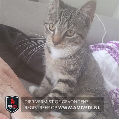 Gesignaleerd dier