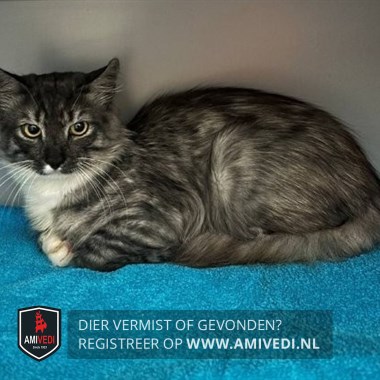 Gesignaleerd dier