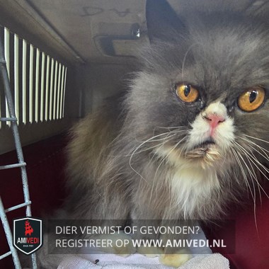 Gesignaleerd dier