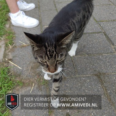 Gesignaleerd dier