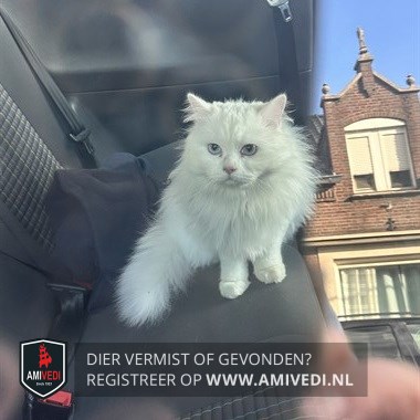 Gesignaleerd dier