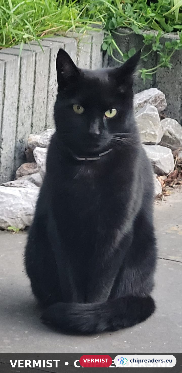 Odin, kat