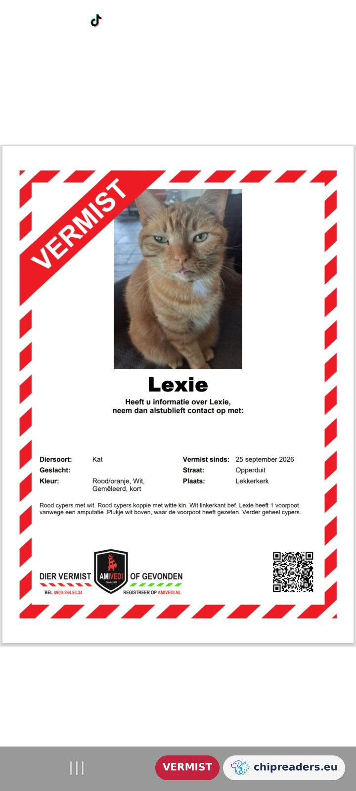 Lexie, kat