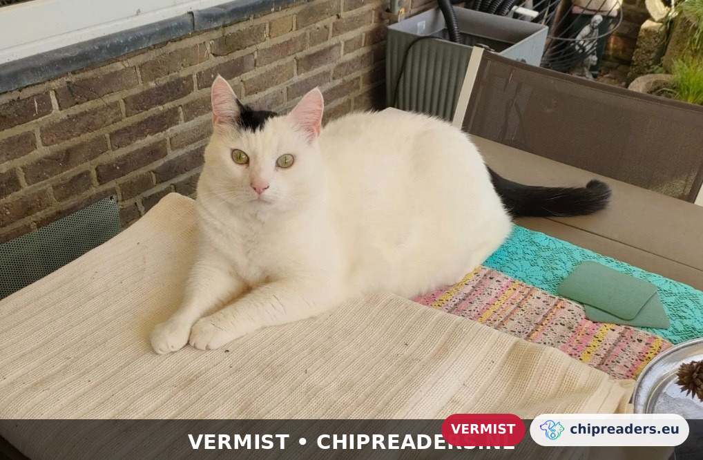 Floris, kat