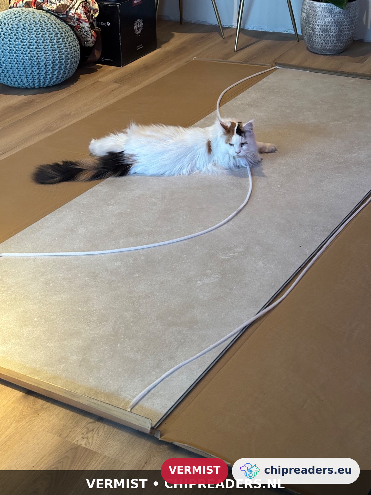 Rimini, kat