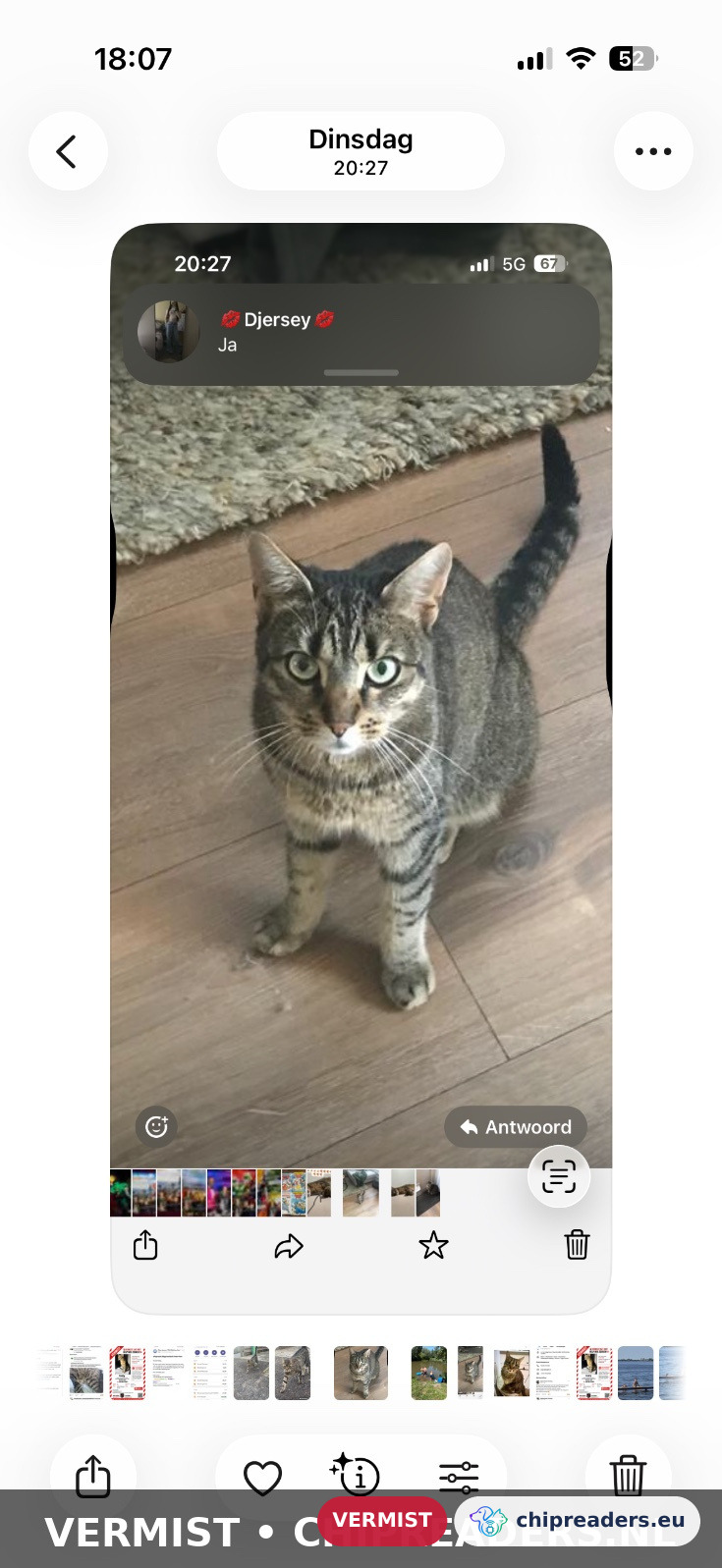 Indy, Kat