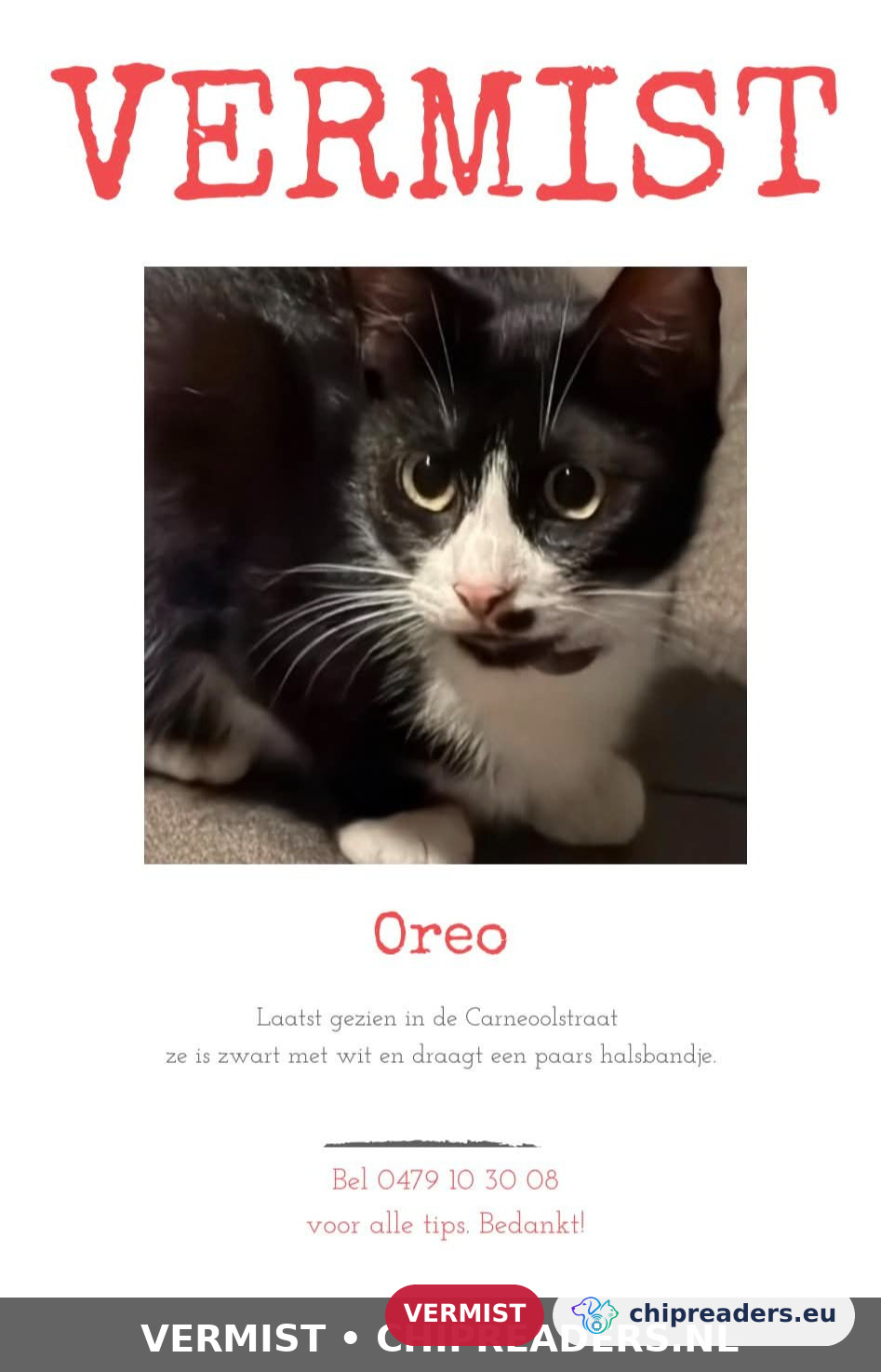 Oreo, kat
