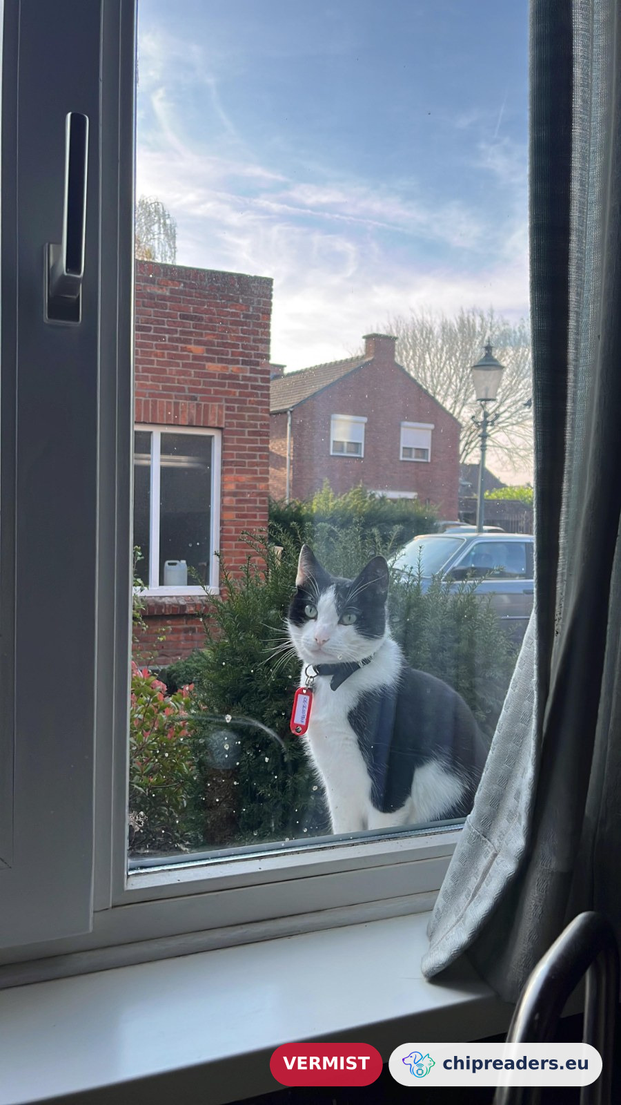 Prudlio, kat