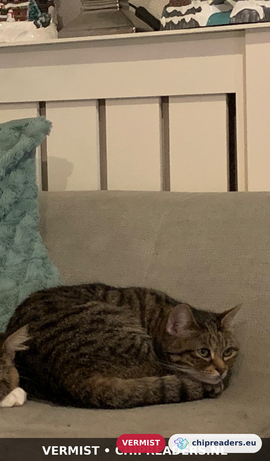 Diva, Kat
