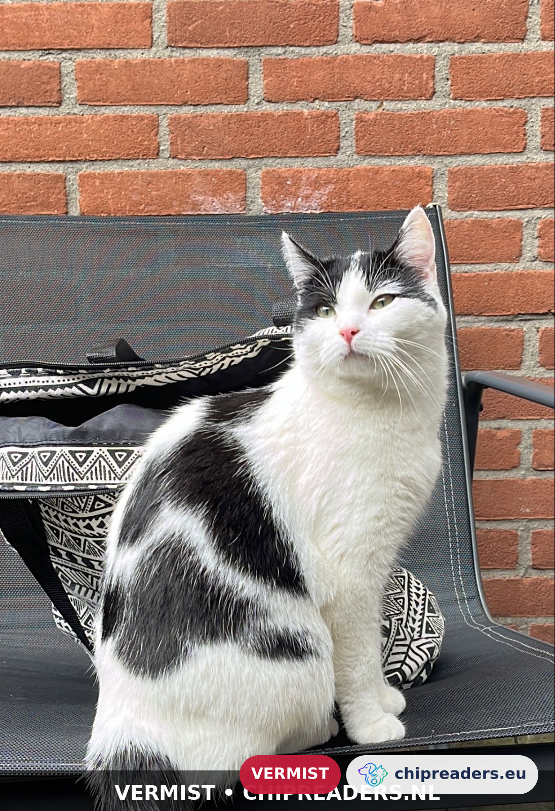 Serin, kat