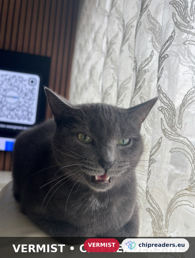 Müezza, kat