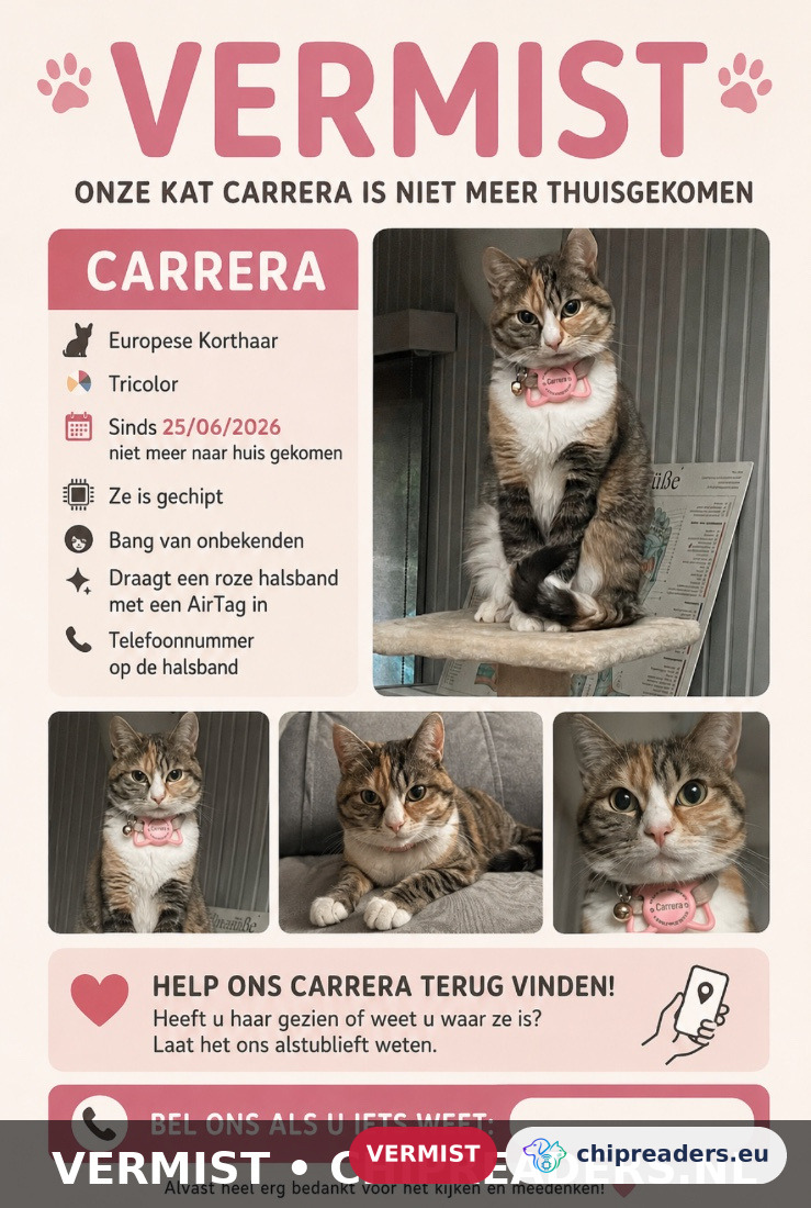 Carrera, kat