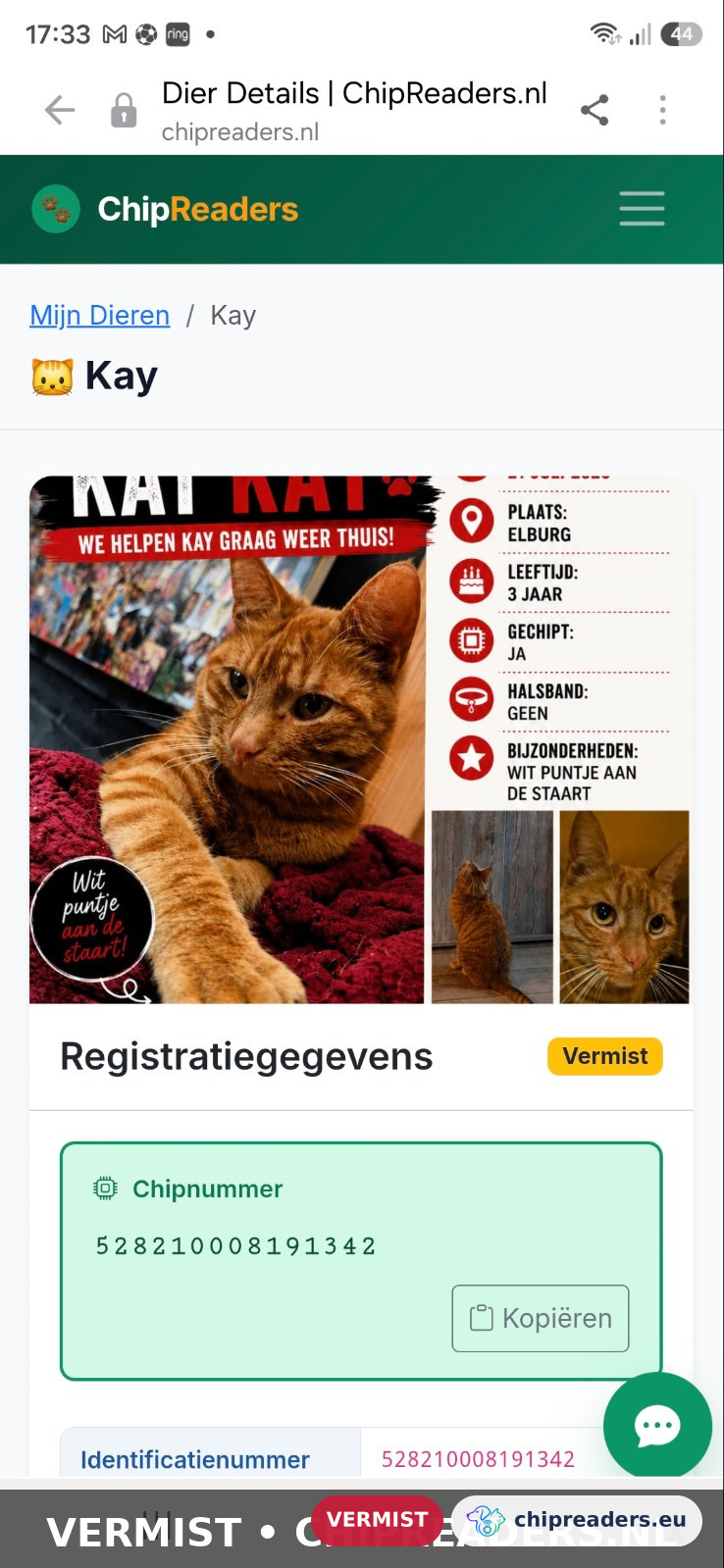 Kay, kat