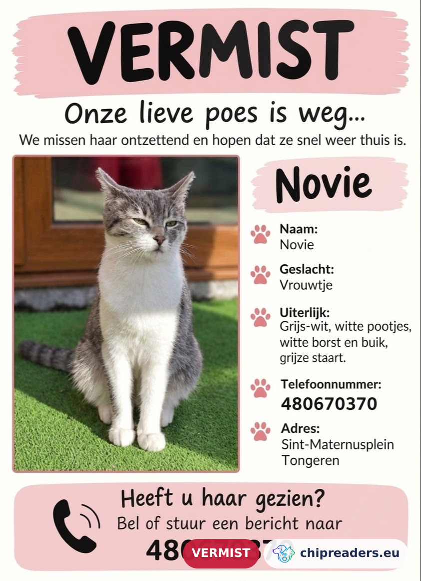 Novie, kat