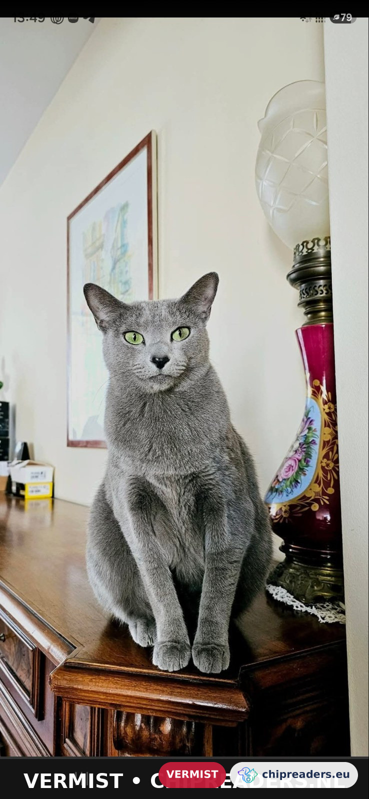 Iris ( Ursela), kat