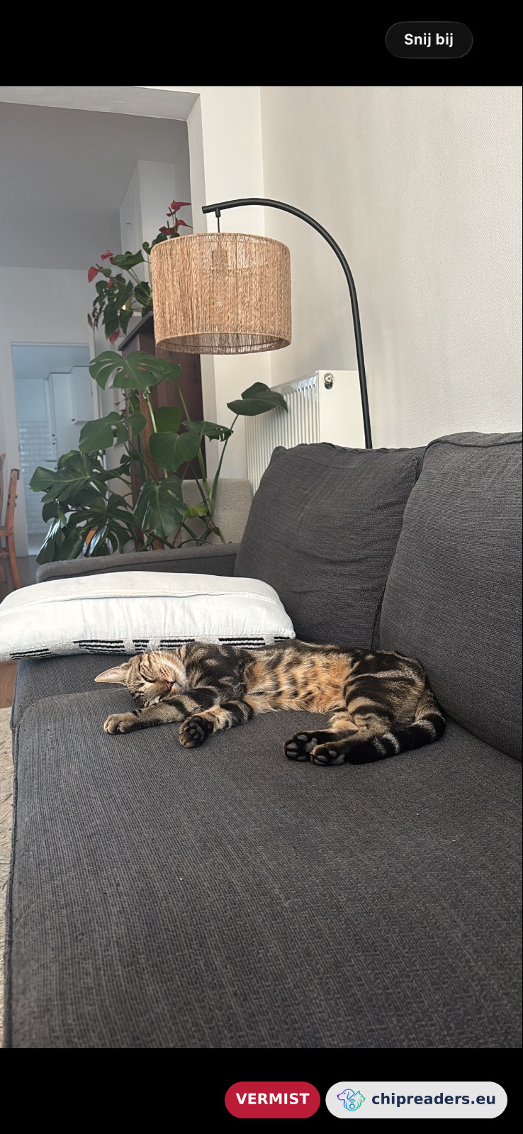 Uzi, kat