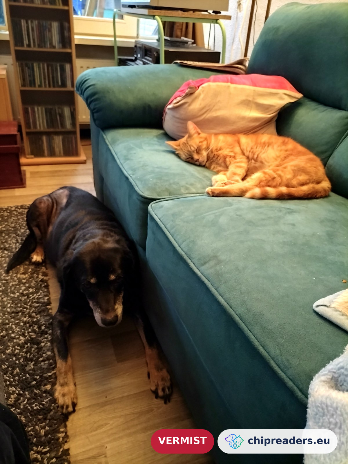 Odin, kat